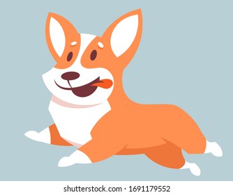 Running Corgi dog. Cute pet in cartoon style.