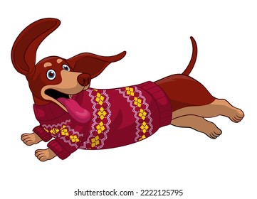 Running Dachshun Sausage Dog wearing Ugly Sweater