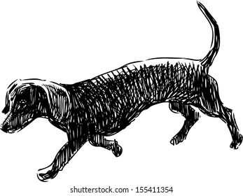 running dachshund
