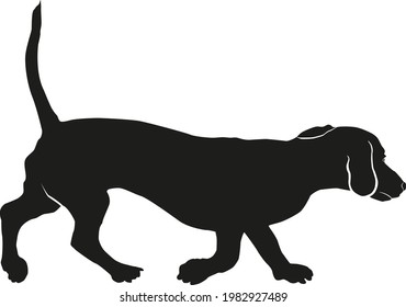 Running dachshund puppy. Black dog silhouette. Wiener dog or sausage dog. Pet animals. Isolated on a white background. Vector illustration.