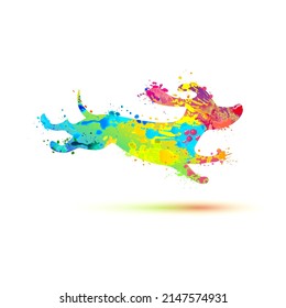 Running dachshund vector icon. Watercolor splash paint dog symbol