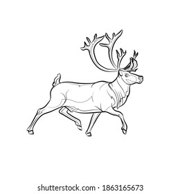 Räucherndes Hirsch. Linienzeichnung. Schwarz-Weiß-Illustration. Vektorgrafik.