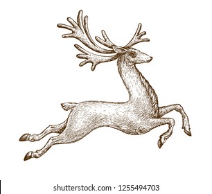 Running deer. Vintage sketch vector illustration