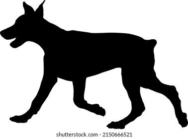 Running doberman pinscher puppy. Black dog silhouette. Pet animals. Isolated on a white background. Vector illustration.
