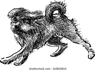 running dog