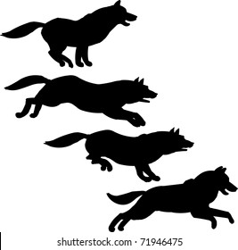 Running Wolf Images Stock Photos Vectors Shutterstock