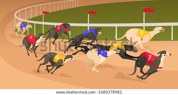 Running dog of different breed in coursing\
dress. Dog race concept. Sport dog running fast in speed\
competition. Vector illustration in cartoon\
style