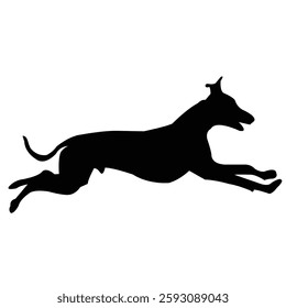 Running dog  forward stock image photo vector art silhouette template background