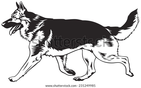 走る犬 ドイツの羊飼い犬が犬のシンボルセットからベクターイラストを作成 のベクター画像素材 ロイヤリティフリー