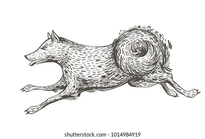 Running dog, hand drawn character sketch. Ink vector illustration. Hound fast jumping, hunting animal