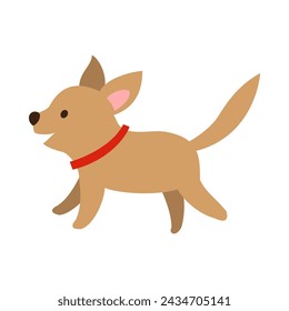 Running dog isolated on white background.
