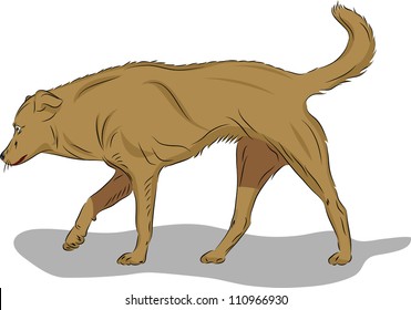 Running dog on white background (hunter)