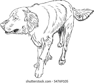 Laufender Hund auf weißem Hintergrund