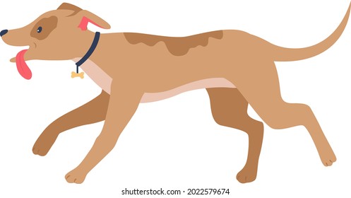 Running dog with rose ears semi flat color vector character. Full body animal on white. Going to dog park everyday isolated modern cartoon style illustration for graphic design and animation