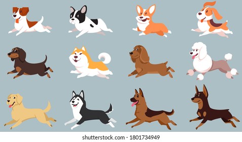 Running dogs of different breeds. Big set of cute pets.