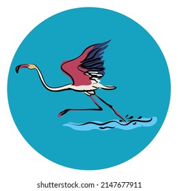 Running Flamingo bird vector illustration