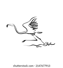 Running Flamingo bird vector illustration line art