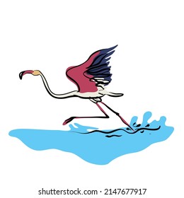 Running Flamingo bird vector illustration 