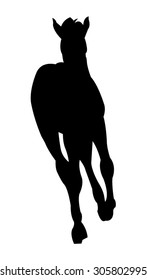 Running Foal Silhouette on White Background