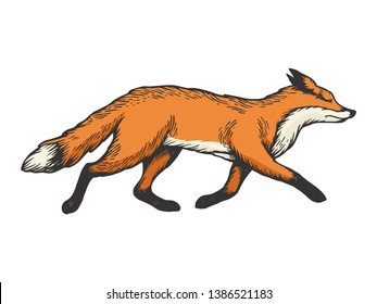 Running fox animal color sketch engraving vector illustration. Scratch board style imitation. Black and white hand drawn image.