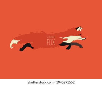 Running fox illustration with text, template for brand design, simple flat vector art 