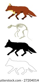 Running fox vector illustration isolated on background. Smart animal predator. Silent hunter hunting food. Skeleton fox silhouette shape shadow. Line contour fox graphic biology education.