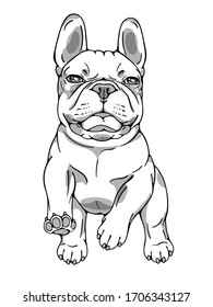 Running french bulldog sketch. Vector illustration