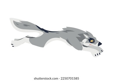 Running Gray Wolf as Wild Hunting Animal Vector Illustration