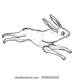 Running hare or rabbit. Hand drawn linear doodle rough sketch. Black silhouette on white background. Antique Celtic or Roman animal motif.