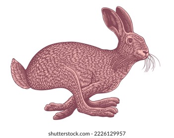 Running hare. Symbol of 2023. Editable hand drawn illustration. Vector vintage engraving. 8 EPS