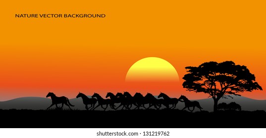 running herd of natural background