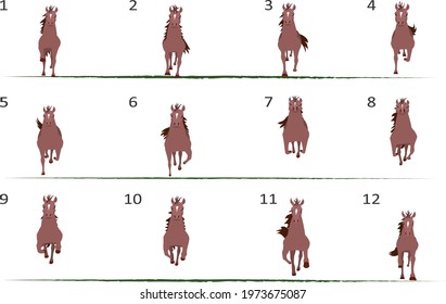 Running horse animation. Front view. Twelve key poses.