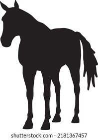 Running horse black silhouette. Vector illustration. Horses for logos Vector design
