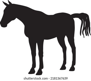 Running horse black silhouette. Vector illustration. Horses for logos Vector design
