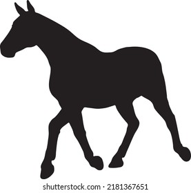 Running horse black silhouette. Vector illustration. Horses for logos Vector design
