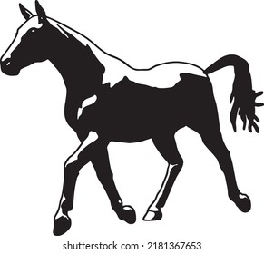 Running horse black silhouette. Vector illustration. Horses for logos Vector design
