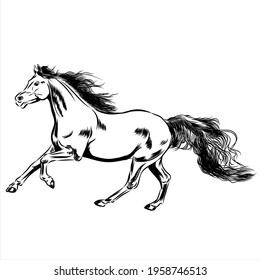Running horse. Black and white vector illustration