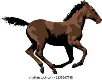Running horse, brown - Vector