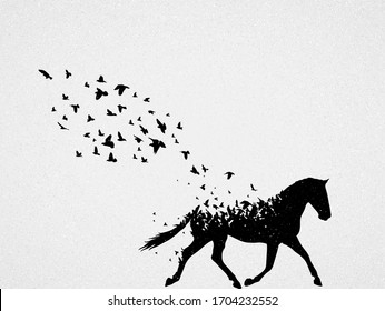 Running horse and flying birds. Endangered animal. Abstract silhouette