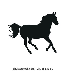 Running  Horse forward stock image photo vector art silhouette template background 