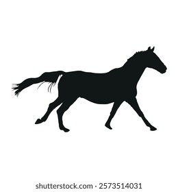 Running  Horse forward stock image photo vector art silhouette template background 