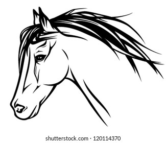 running horse head - realistic vector illustration - black and white outline