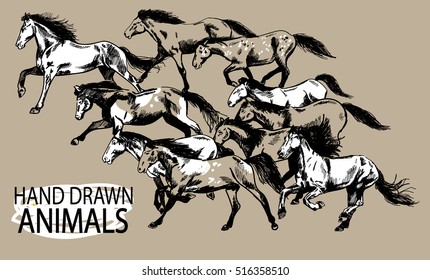 
Running horse. A herd of mustangs. Drawing by hand in vintage style.