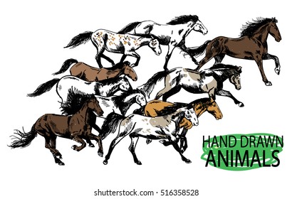 
Running horse. A herd of mustangs. Drawing by hand in vintage style.