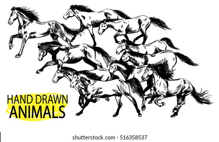 
Running horse. A herd of mustangs. Drawing by hand in vintage style.