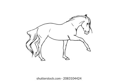 running horse line art outline logo vector icon template