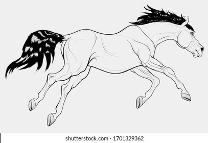 Running horse with long mane. Stallion lowered its head and galloping with legs stretched out. Vector linear illustration for equestrian goods.