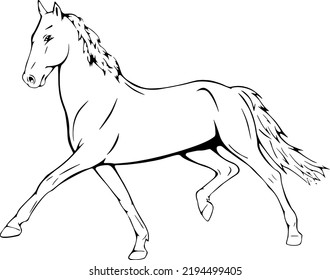 Running Horse, Outline Vector Illustrations Design 