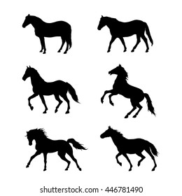 Running horse. Set of black silhouettes. Vector illustration.