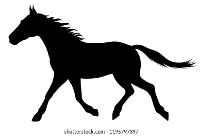 Running horse silhouette isolated on a white background. Vector illustration of a running horse shape side view, profile.